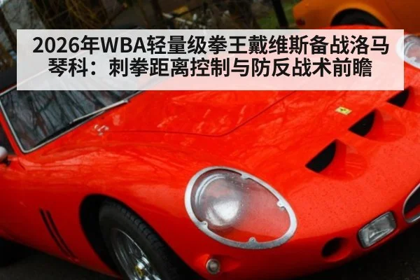 2026年WBA轻量级拳王戴维斯备战洛马琴科:刺拳距离控制与防反战术前瞻