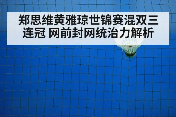 badminton net play
